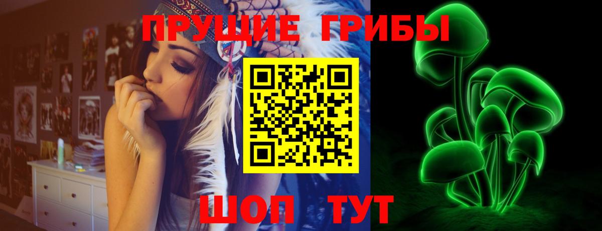 Мончегорск  сколько стоит  Вход с VPN  Псилоцибиновые грибы Psilocybine cubensis 